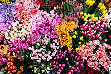 《叛变：沙漠风暴》PS5和Xbox Series版现已推出